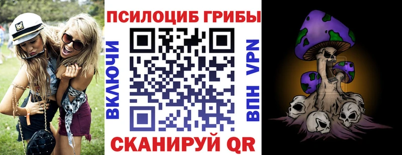 цена   Осташков  Галлюциногенные грибы GOLDEN TEACHER 